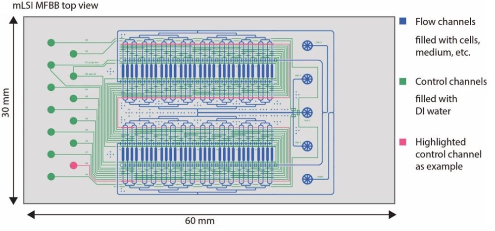 Modular Microfluidic Platforms For Parallel Cell Culturing Ufluidix