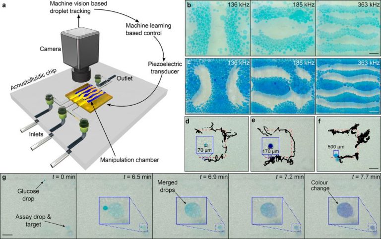 Machine Learning Guided Droplet Microfluidic Platform