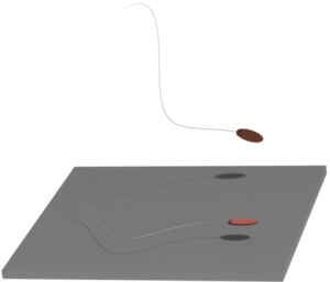 sperm motion, microfluidics