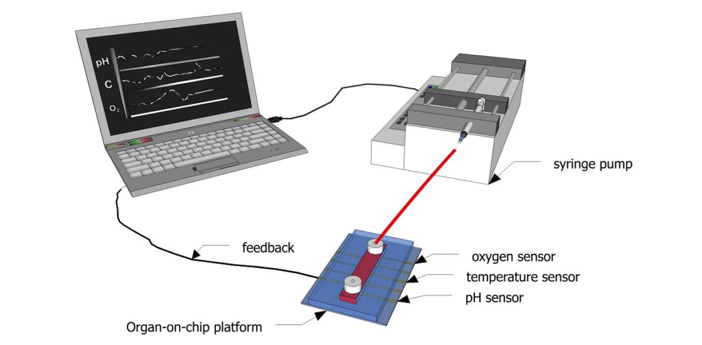 Schematic showing how sensors can be used to continuously monitor biochemical parameters inside a microfluidic channel.