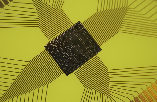 microfluidic chip