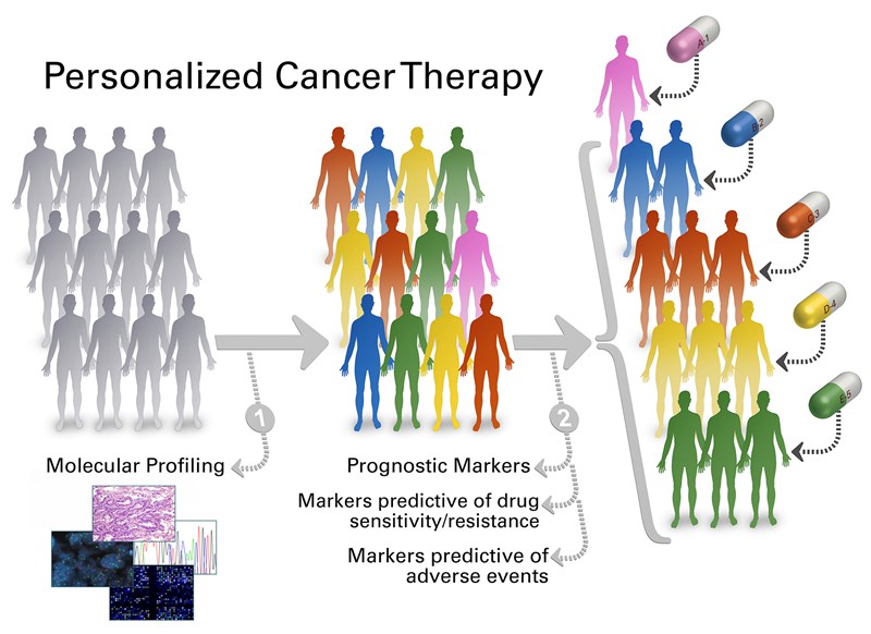 Personalized cancer therapy