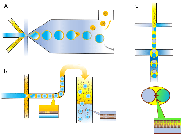 Microfluidic techniques used to generate liposomes