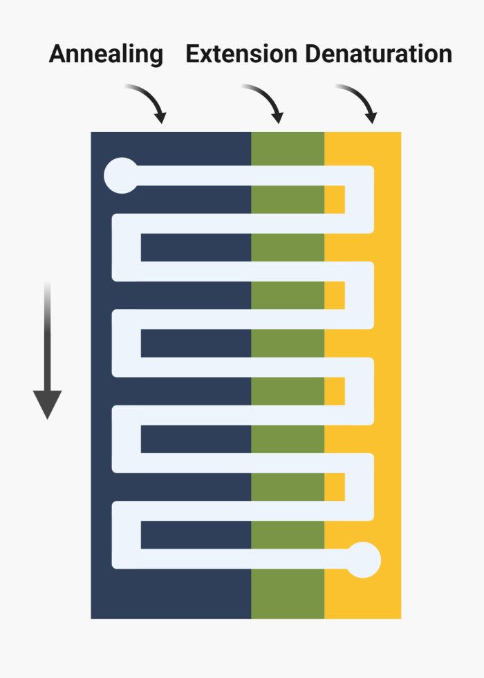 Microfluidic Space domain PCR