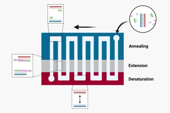 Microfluidics Applications | UFluidix