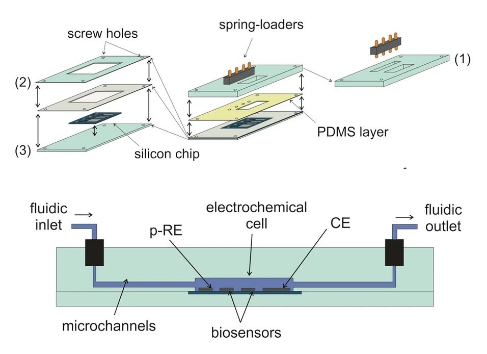 Microfluidics and electrochemistry meet to help in producing a better ...