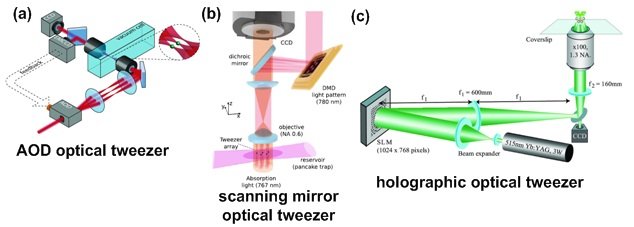 Optical Tweezers Ultrafast Laser Pair To Gently Insert Dna Into Living