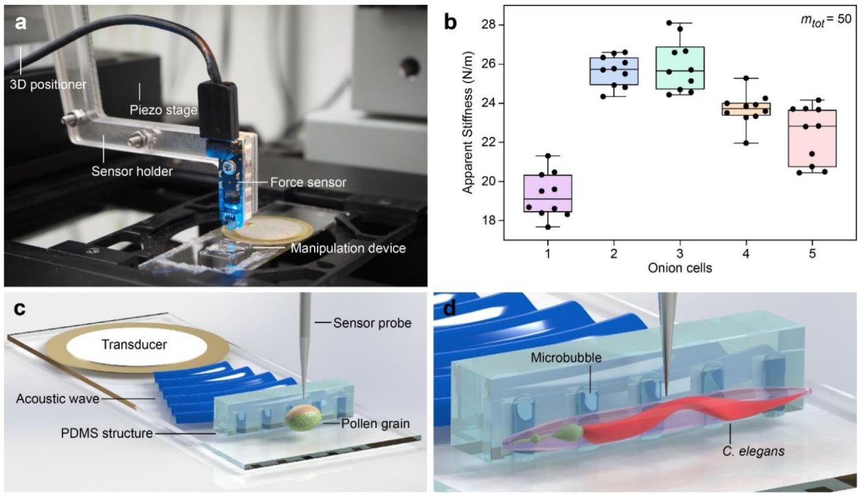 Microfluidics | 3D Analysis Of A Single Cell And Organisms | UFluidix