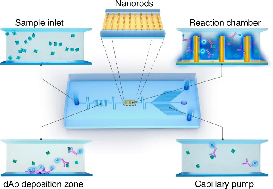 Blog Ufluidix Microfluidic Chips And Devices Manufacturer 0221