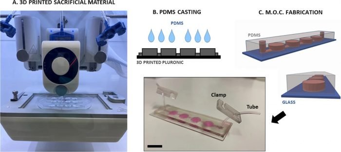 Microgravity-on-a-chip Facilitates Microgravity Cellular Experiments