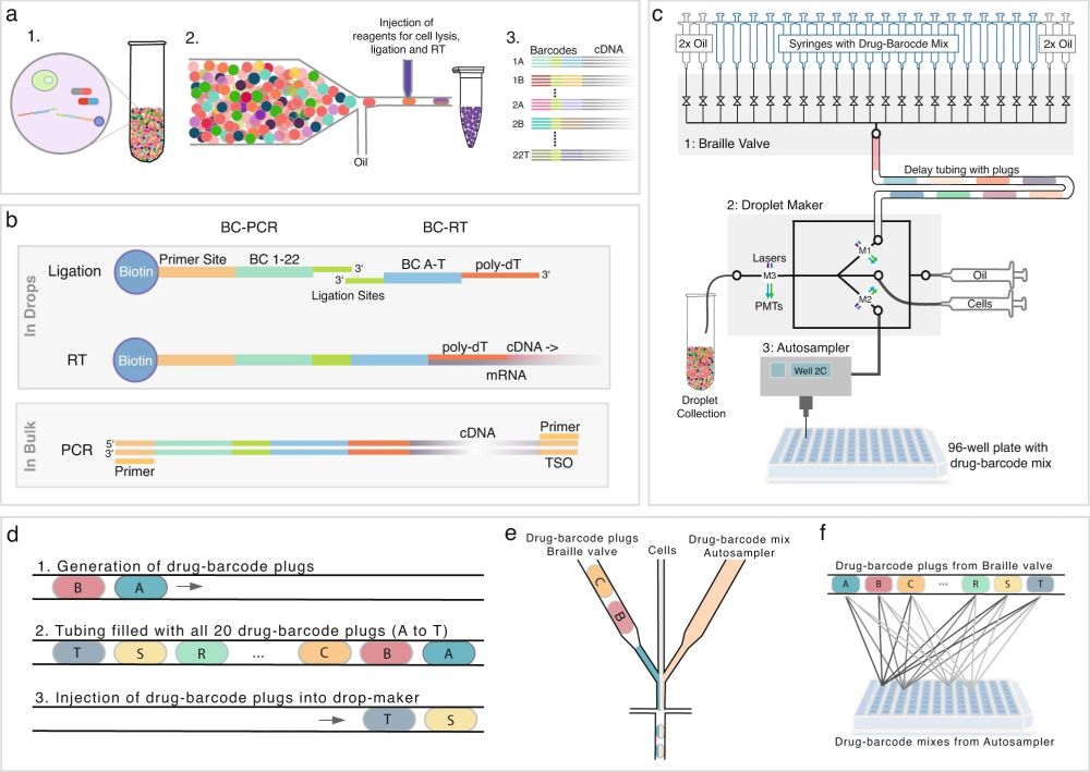 Transcriptome-based Profiling Using Droplet Microfluidics