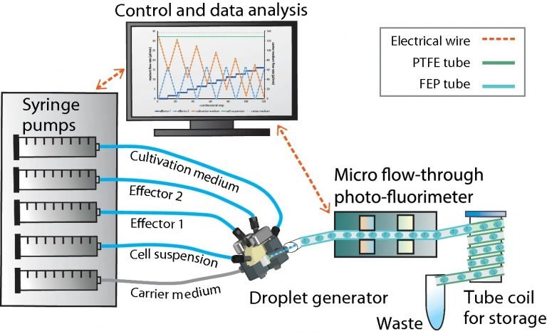 High-throughput Optimization Of Cyanobacterial Cultivation Using ...