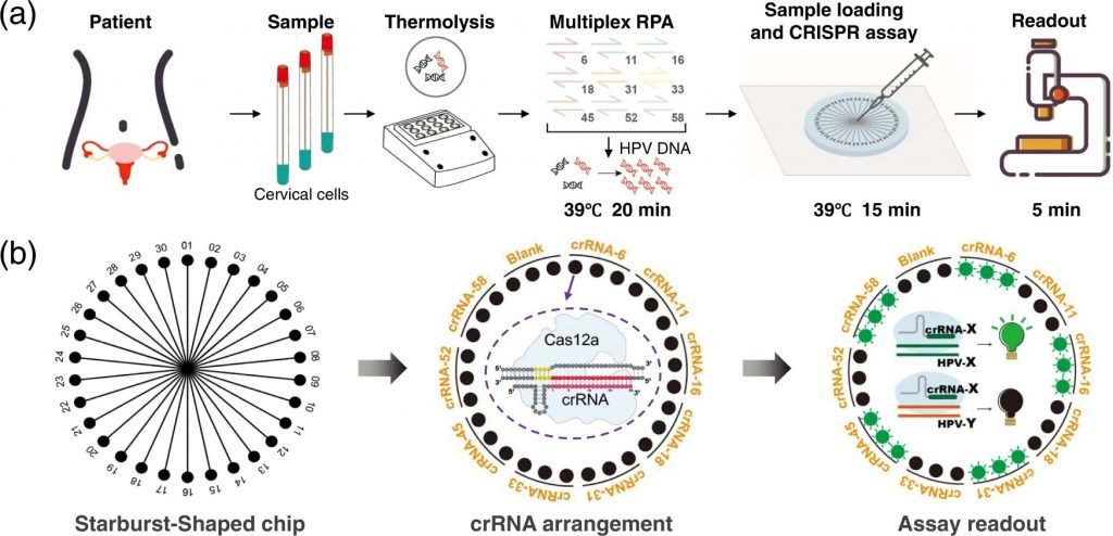 Microfluidics For CRISPR-based Multiplexed Detection Of Nucleic Acids