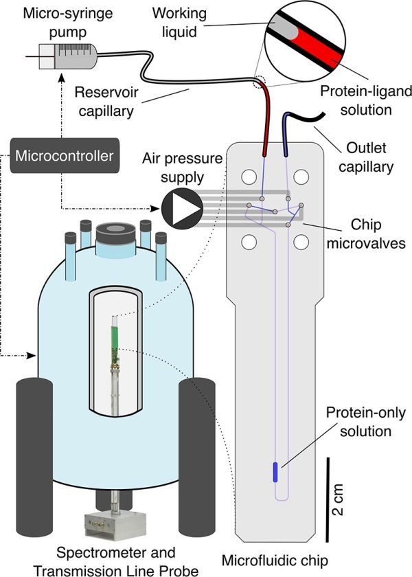 Automated microfluidic NMR for protein-ligand interaction analysis