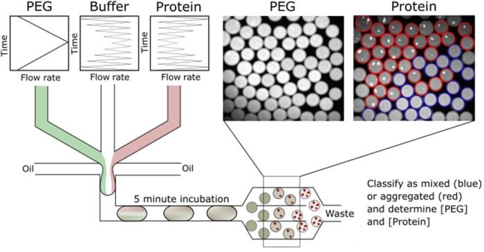 Protein Solubility Optimization with Microfluidics